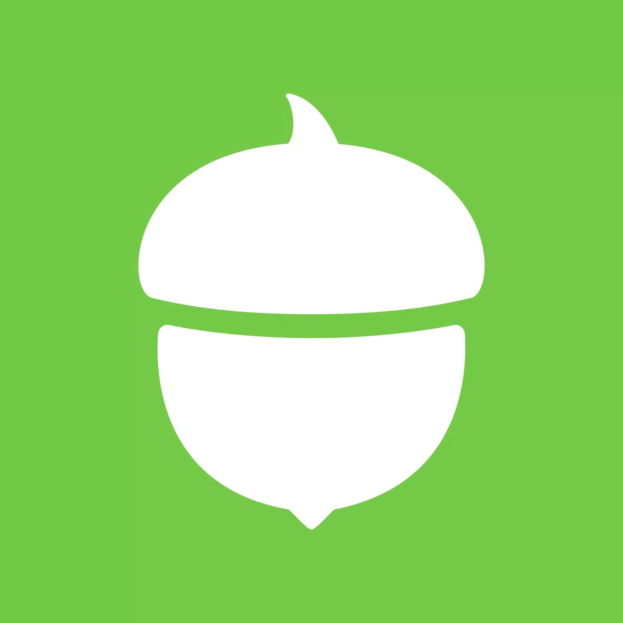 Acorns
